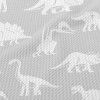 簡單恐龍化石泡泡布(幅寬160公分)