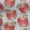 素描蘋果刷毛布(幅寬150公分)