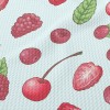莓果草莓櫻桃泡泡布(幅寬160公分)