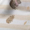 松鼠和松果毛巾布(幅寬160公分)