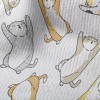慵懶翻滾小貓毛巾布(幅寬160公分)