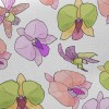 美麗蝴蝶蘭斜紋布(幅寬150公分)