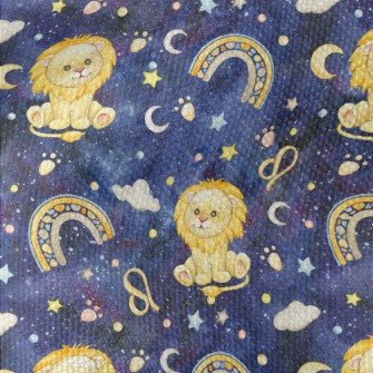 星空中耀眼的獅子座帆布(幅寬150公分)