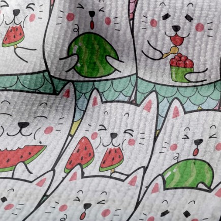 吃西瓜的貓毛巾布(幅寬160公分)