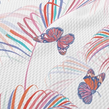 美麗飛舞蝴蝶泡泡布(幅寬160公分)