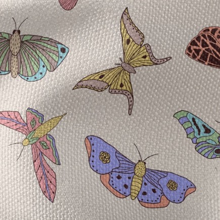 稀有紋路蝴蝶帆布(幅寬150公分)