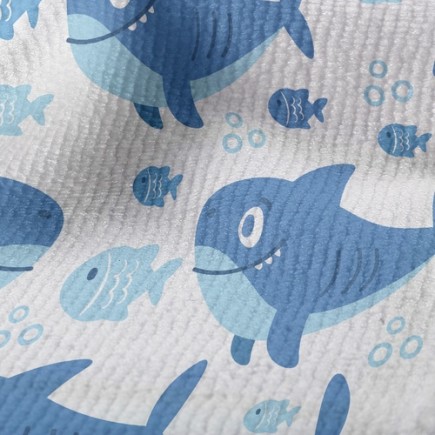 Q版鯊魚毛巾布(幅寬160公分)