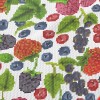 鮮豔草莓與梅果泡泡布(幅寬160公分)